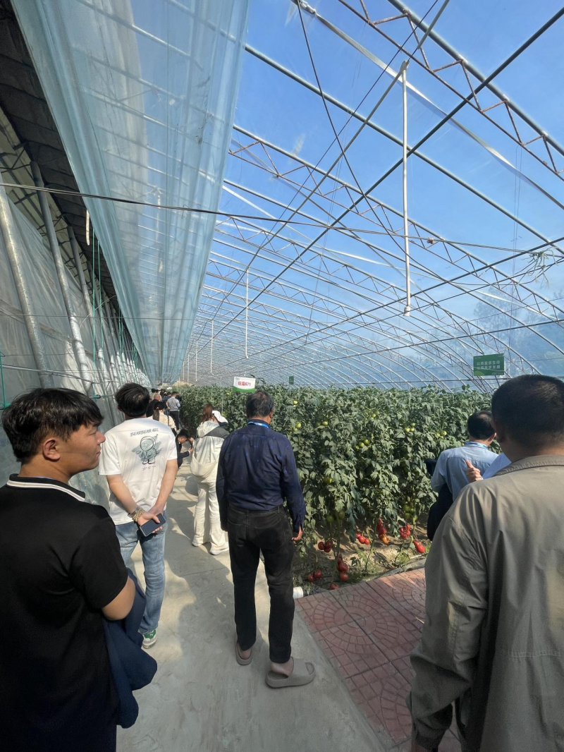 圖片 13