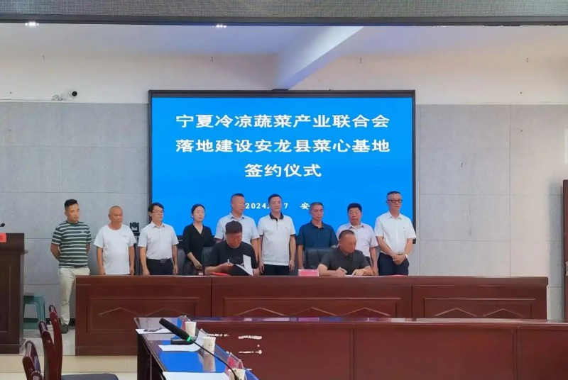 寧夏冷涼蔬菜產業聯合會落地建設安龍縣菜心基地簽約儀式.webp