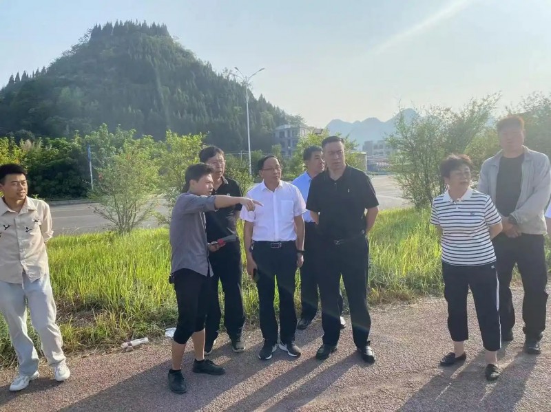 銀川市政協到黔西南州龍廣鎮小場壩基地考察菜心產業發展情況.webp