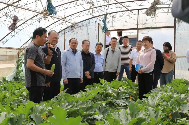 黔西南州政協考察組在銀川市閩寧鎮園藝村設施溫棚園區考察.webp
