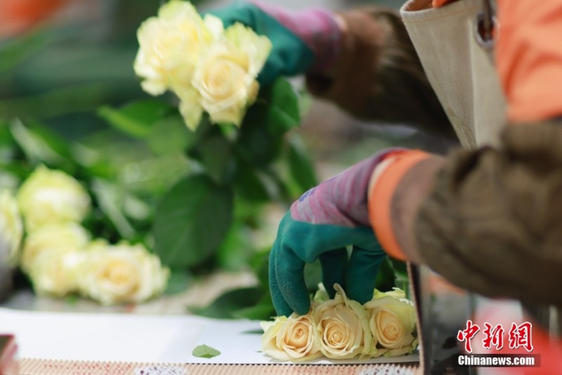 日照市莒縣招賢曲坊現(xiàn)代農(nóng)業(yè)產(chǎn)業(yè)園的鮮切花3