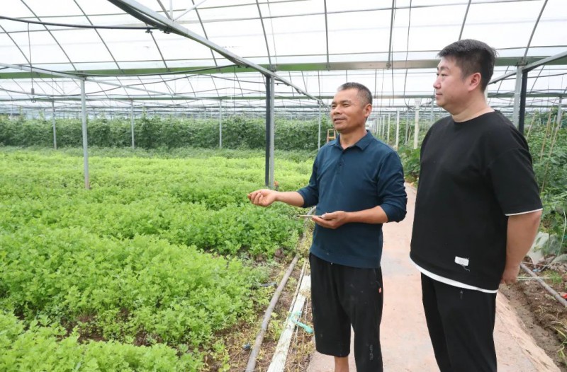 俯瞰沙坪壩區回龍壩鎮的恒筑莊園8