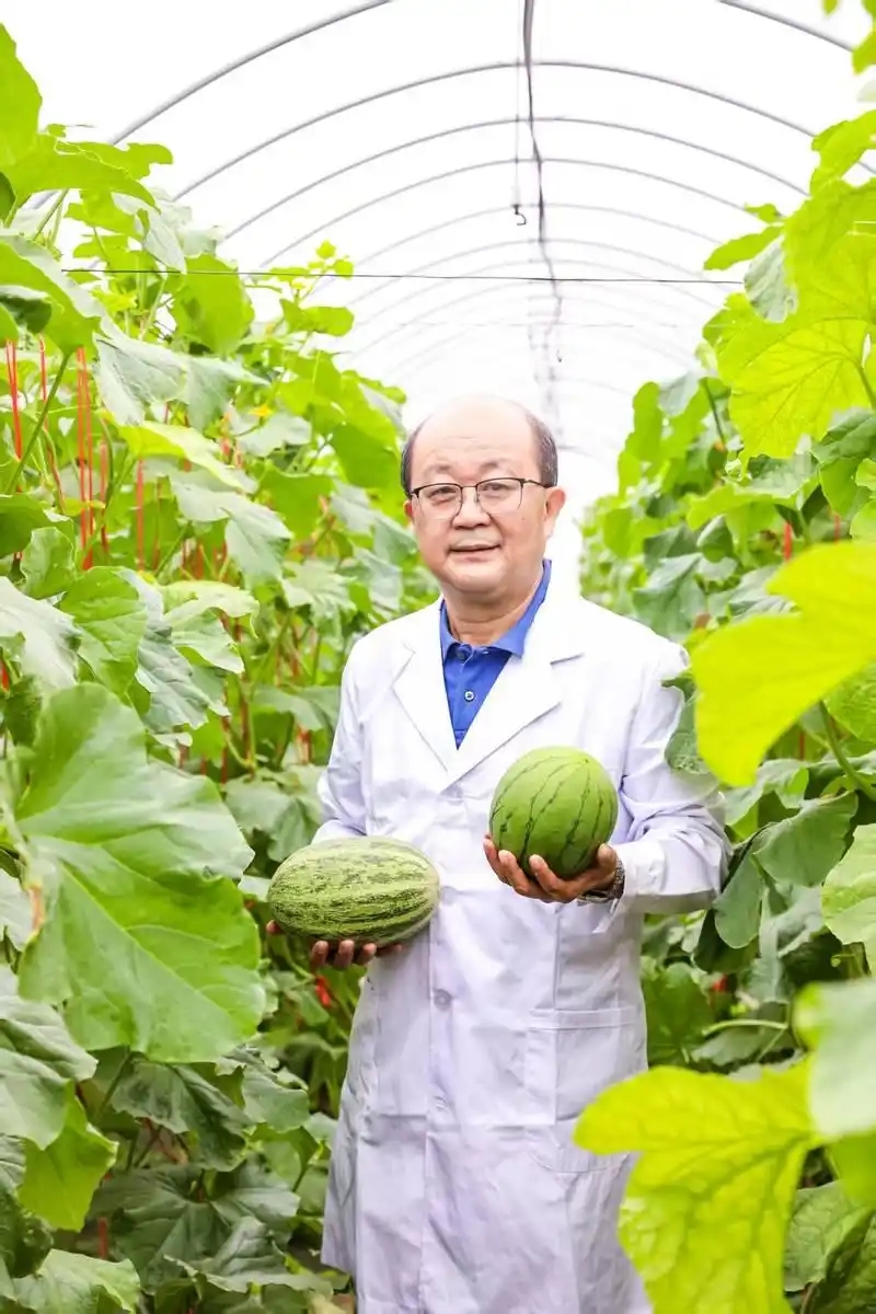 國家蔬菜工程技術(shù)研究中心主任、北京市農(nóng)林科學(xué)院研究員、我國西甜瓜產(chǎn)業(yè)技術(shù)體系首席科學(xué)家許勇。受訪者供圖.webp
