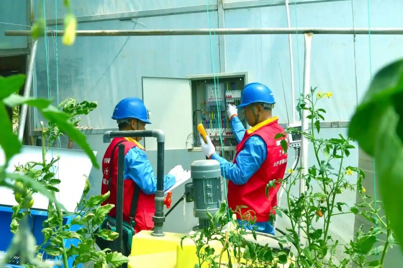 國網海東供電公司員工在雙樹村冷涼蔬菜產業園對溫室大棚內土壤墑情監測儀、光照傳感器等用電設備進行用電安全隱患排查。李永鵬攝.webp