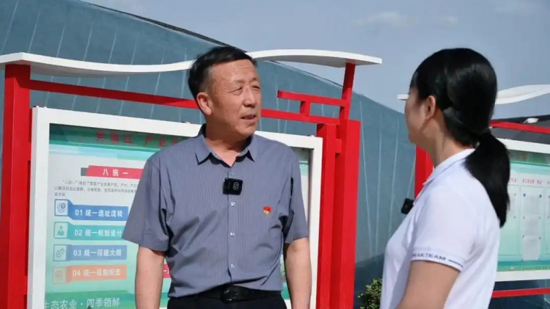 旬邑縣現代設施農業蔬菜基地2.webp