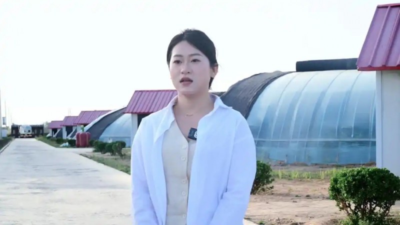 旬邑縣現代設施農業蔬菜基地6.webp