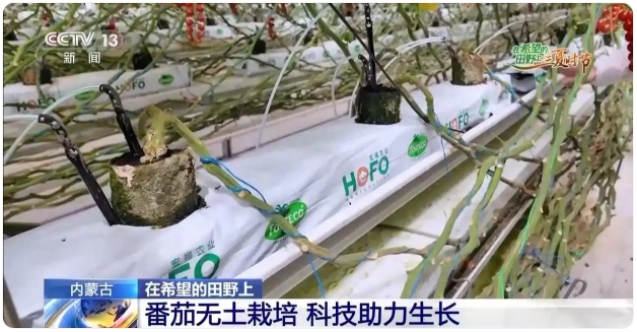 宏福烏蘭察布園區