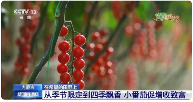 宏福烏蘭察布園區2