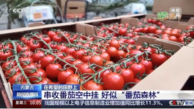 宏福央視報道3