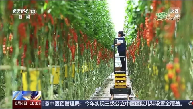 宏福央視報道4