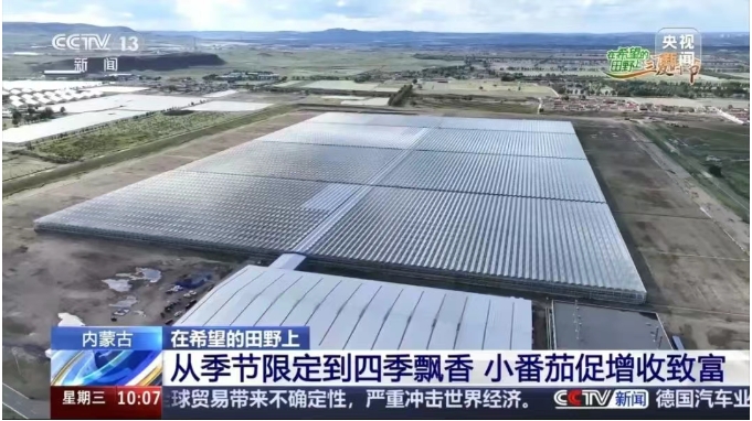 宏福央視報道7