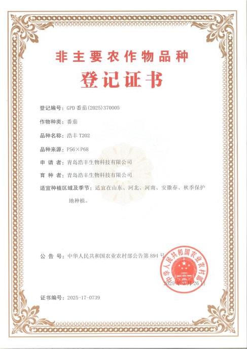凱盛浩豐集團自主選育的番茄品種“浩豐 T202” 正式通過國家非主要農作物品種登記