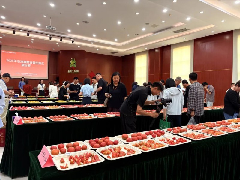 2025京津冀番茄擂臺賽1
