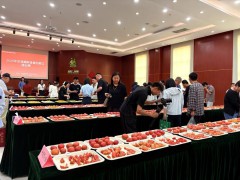 “2025京津冀鮮食番茄&黃瓜擂臺(tái)賽”圓滿收官