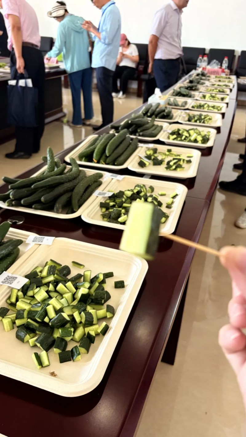 2025京津冀番茄擂臺賽3