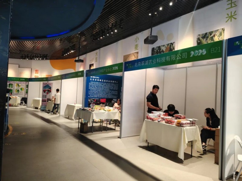 2025京津冀番茄擂臺賽4