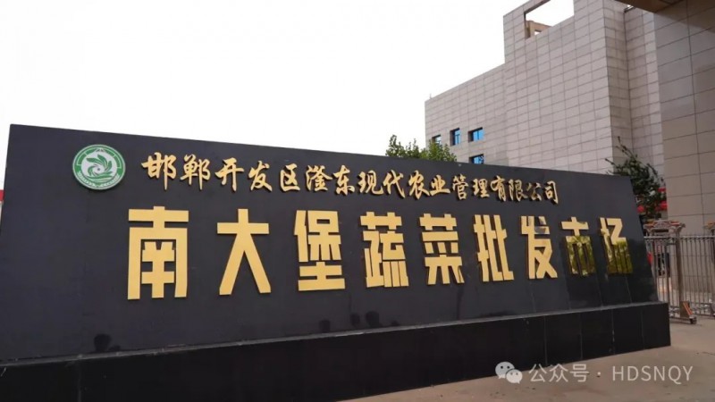 邯鄲經(jīng)開區(qū)蔬菜產(chǎn)業(yè)5