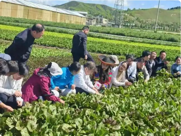 青海會議1