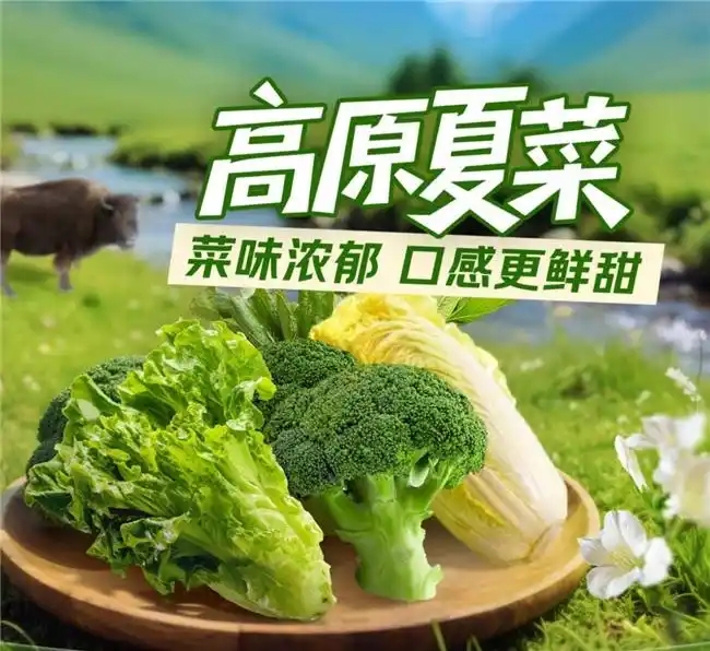 高原夏菜京東七鮮暢銷1.webp