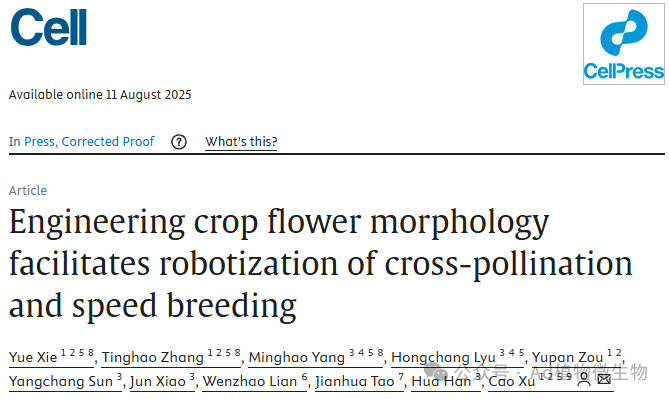國際頂級學術期刊Cell上發表了一篇題為《Engineering crop flower morphology facilitates robotization of cross-pollination and speed breeding》的研究論文