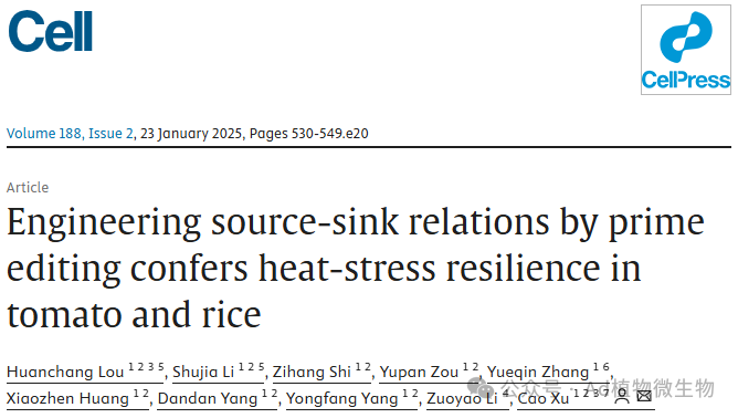 在Cell發表了一篇題為“Engineering source–sink relations by prime editing co<em></em>nfers heat-stress resilience in tomato and rice”的相關研究成果